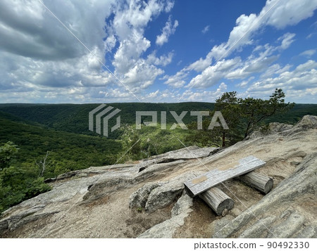 Nation park Podyji in Czech republic with river Dyje 90492330