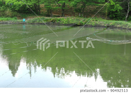 Bird net in aquaculture pond 90492513