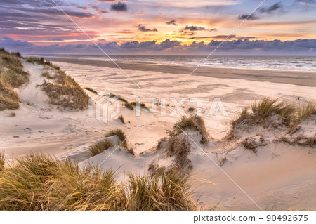View from dune top over North Sea 90492675