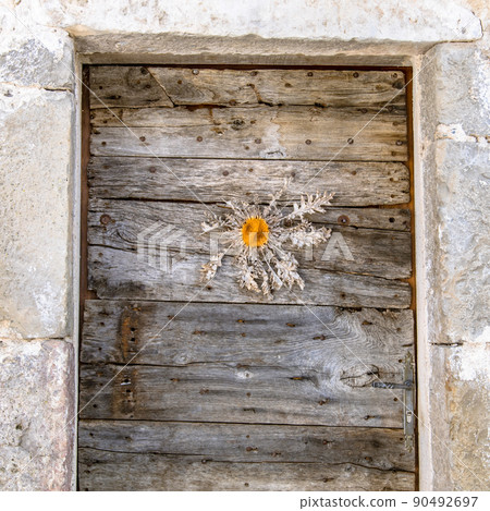 Carline thisle on a door in the cevennes Carline thisle on a door in the cevennes 90492697