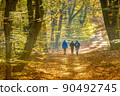People on Walkway in hazy autumn forest 90492745