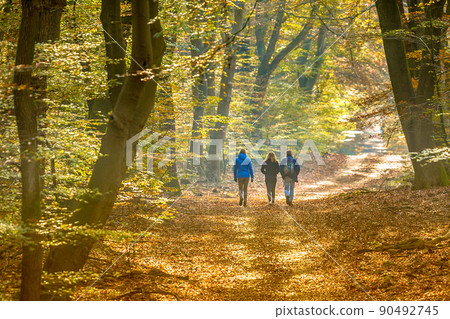 People on Walkway in hazy autumn forest 90492745