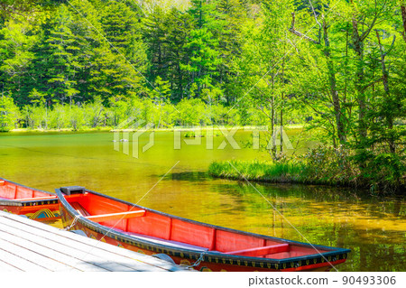 [Scenic view] Myojin Pond in Kamikochi in early summer [Nagano Prefecture] 90493306