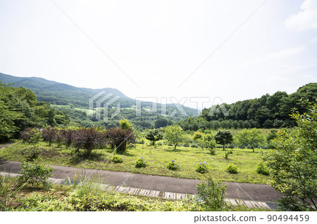 Park in the mountains Park in the mountains 90494459