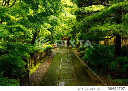 Japan's Three Views Matsushima Entsuin 90494707
