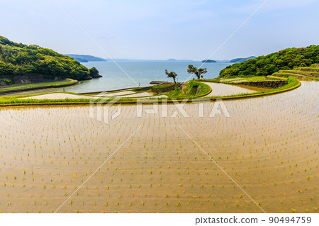 多谷梯田的水景[長崎縣松浦市] 90494759