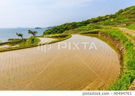 多谷梯田的水景[長崎縣松浦市] 90494761