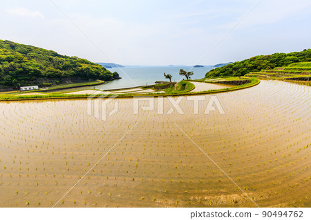 多谷梯田的水景[長崎縣松浦市] 90494762