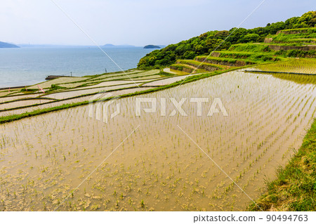 多谷梯田的水景[長崎縣松浦市] 90494763