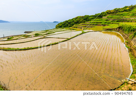 多谷梯田的水景[長崎縣松浦市] 90494765