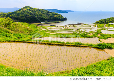 多谷梯田的水景[長崎縣松浦市] 90494808