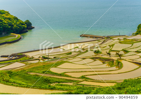 Water-filled landscape of Doya Rice Terraces [Matsuura City, Nagasaki Prefecture] 90494859