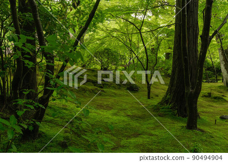 Japan's Three Views Matsushima Entsuin 90494904