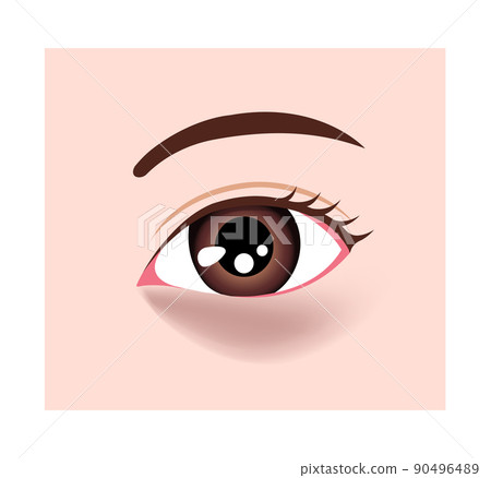 一種眼熊(眼熊)矢量圖解/棕熊 一種眼熊(眼熊)矢量圖解/棕熊 90496489