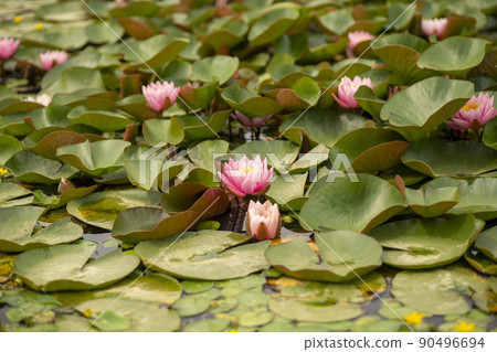 training training 90496694