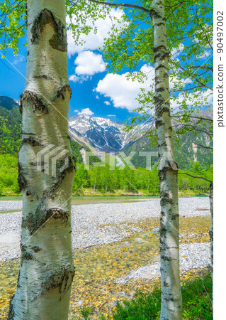 [Scenic view] Kamikochi in early summer [Nagano Prefecture] 90497002