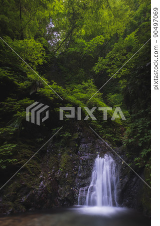東京金剛瀑布的女性瀑布 東京金剛瀑布的女性瀑布 90497069