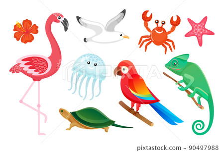 Exotic Wild Birds and Animals, Summer Symbols Exotic Wild Birds and Animals, Summer Symbols 90497988
