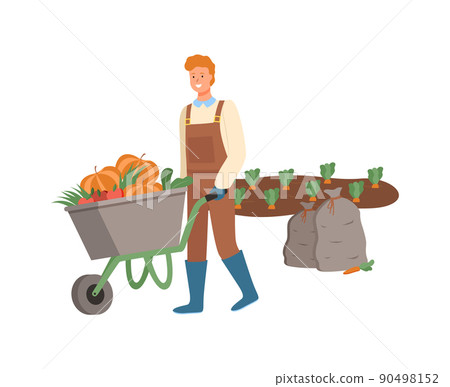 Farmer Harvesting on Field Pumpkins in Cart Vector 90498152