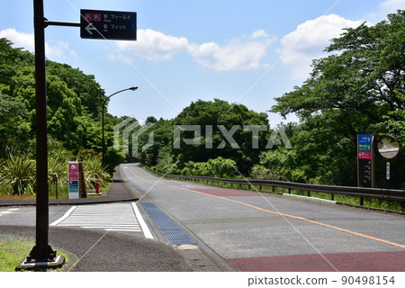 足柄神郡大井町Biotopia信息板和新鮮的綠色 90498154