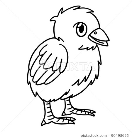 Chick Coloring Page Isolated for Kids Chick Coloring Page Isolated for Kids 90498635