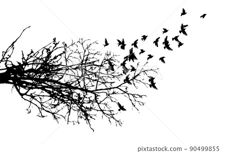 Realistic illustration with silhouettes of three birds - crows or ravens sitting on tree branch without leaves and flying, isolated on white background - vector Realistic illustration with silhouettes of three birds - crows or ravens sitting on tree branch without leaves and flying, isolated on white background - vector 90499855