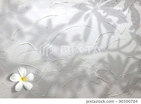 白色雞蛋花和葉子的剪影以鏝繪的白牆為背景 90500784