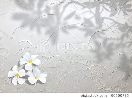 Silhouette of white plumeria flowers and leaves against a background of trowel-painted white walls 90500785