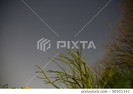 晚上的星星很美 晚上的星星很美 90501341