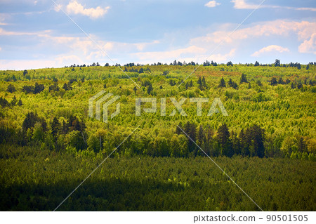 Coniferous forest from the sky. National park. Coniferous forest from the sky. National park. 90501505