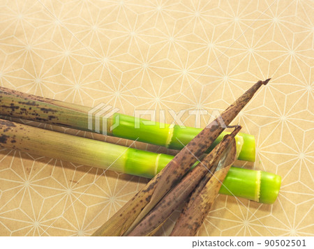 Wild plants that grow naturally in early summer Wild plants that grow naturally in early summer 90502501