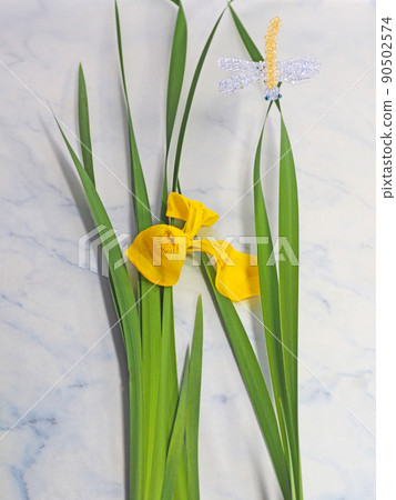Iridaceae flower yellow iris and beaded dragonfly that bloom in early summer Iridaceae flower yellow iris and beaded dragonfly that bloom in early summer 90502574