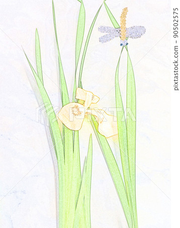 Iridaceae flowers that bloom in early summer Yellow iris and dragonfly color pencil drawing style 90502575