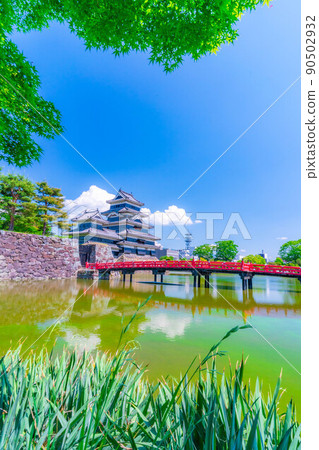[Early summer material] Matsumoto Castle in the fresh green and blue sky [Nagano Prefecture] 90502932