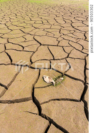 水庫和河流因乾旱而破裂 水庫和河流因乾旱而破裂 90503302