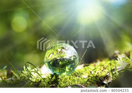 Crystal sphere in the forest 90504255