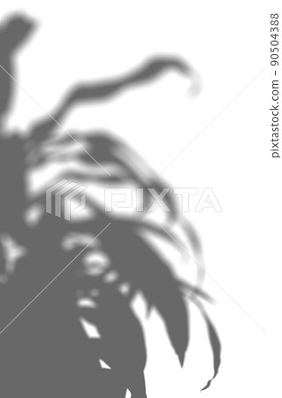 Silhouette of foliage plants, image of interior 90504388