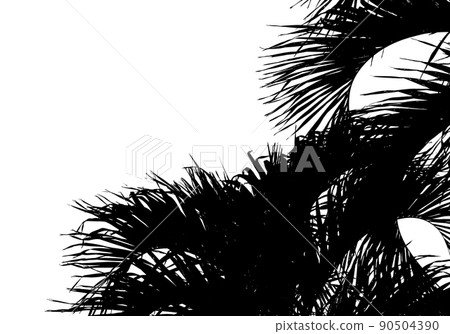 棕櫚葉剪影，清爽的夏日形象 90504390