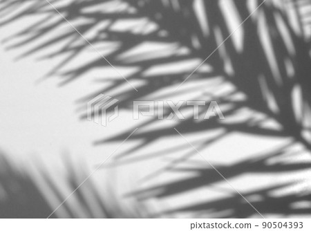 Palm tree silhouette, resort image 90504393