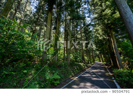 【157國道】森林隧道段 90504791