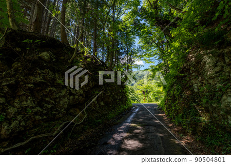 [National Highway 157] Go to the cut section 90504801