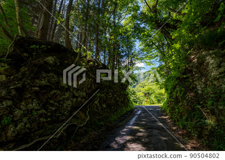 [National Highway 157] Go to the cut section 90504802