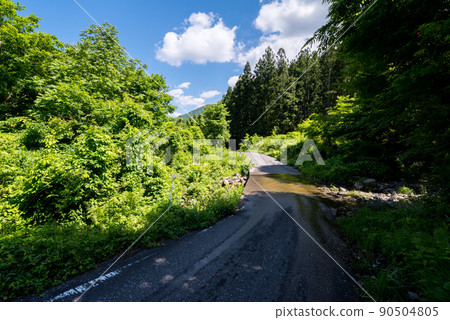 【國道157】過淺灘 90504805