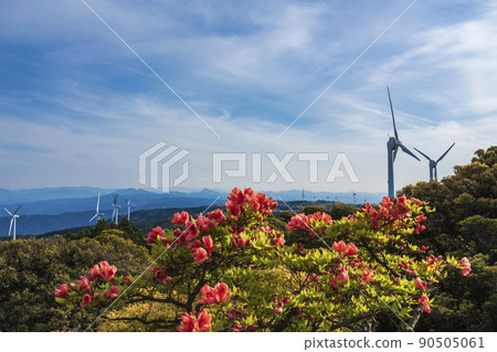 花期的青山高原 90505061