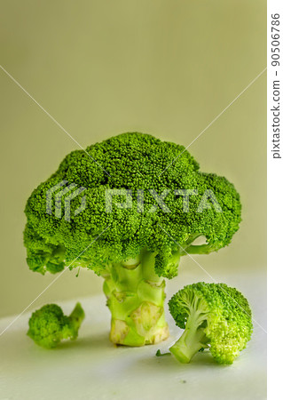Broccoli cabbage in the form of a green tree on a mustard background with parts Broccoli cabbage in the form of a green tree on a mustard background with parts 90506786