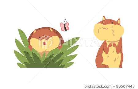 Cute Hamster Character with Stout Body Chewing Something and Peeking from Bush Vector Set Cute Hamster Character with Stout Body Chewing Something and Peeking from Bush Vector Set 90507443