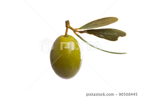 pickled olives isolated pickled olives isolated 90508445