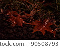 Wet maple leaves that fell on the concrete ground 90508793