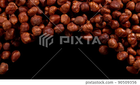 Hazelnuts isolated on black background. 90509356