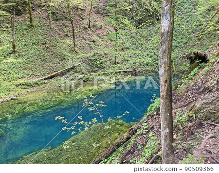 Hiking trail with wooden bridges over river Kamacnik, Gorski kotar, Croatia 90509366